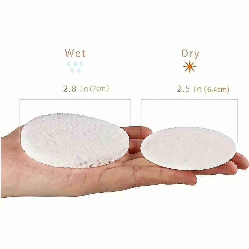 50 Count White Compressed Facial Sponges